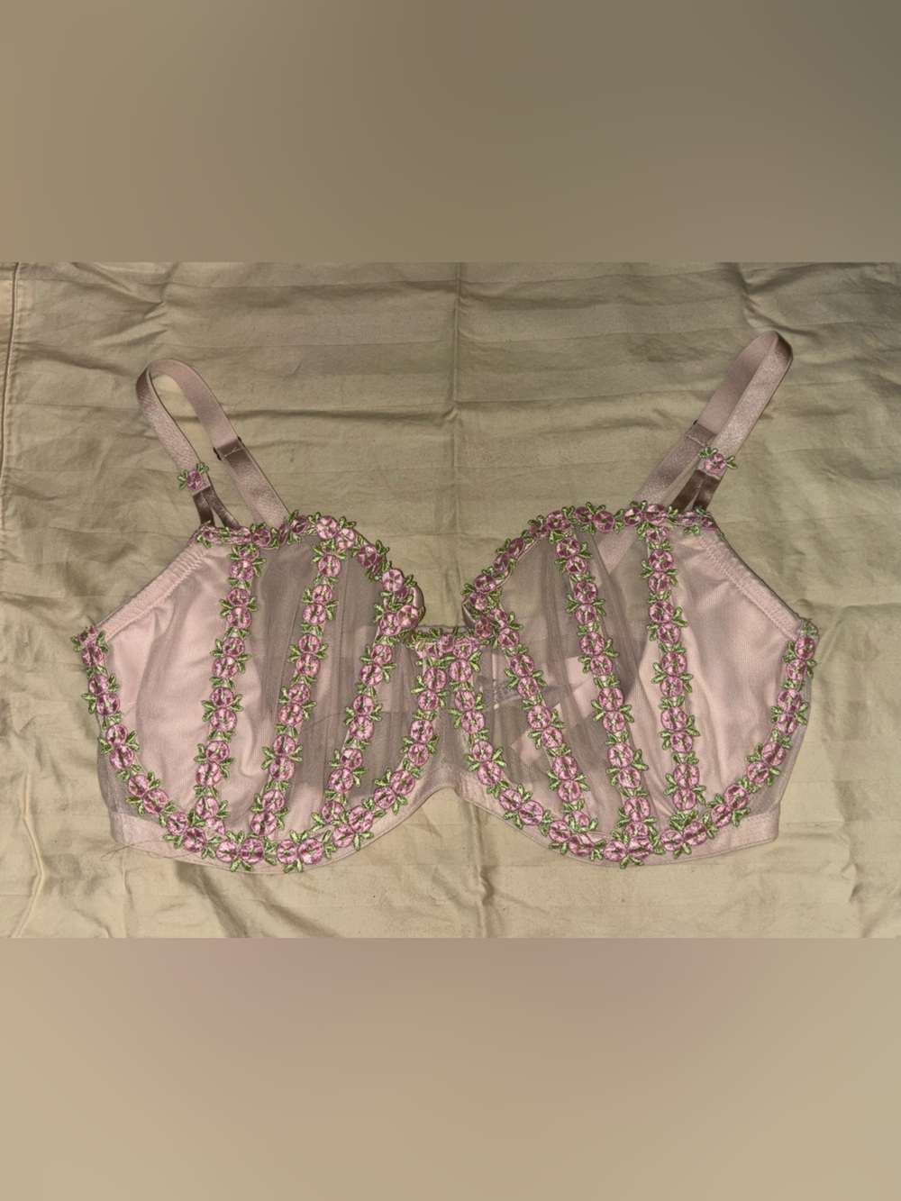 Victoria's Secret Dream Angels 38DD wicked caged rosebud embroidery bra